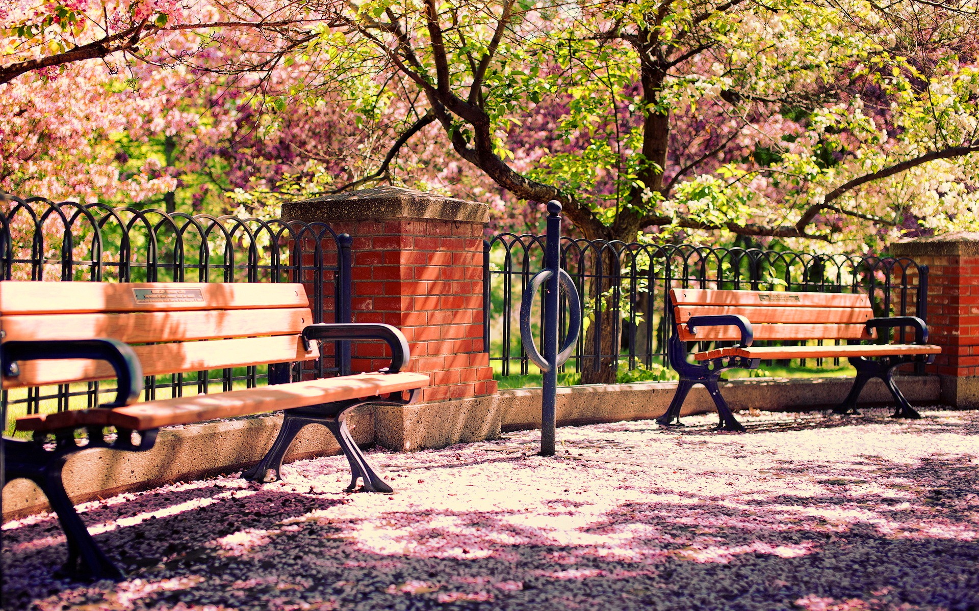 Time to take a walk. (Photo internet reproduction)