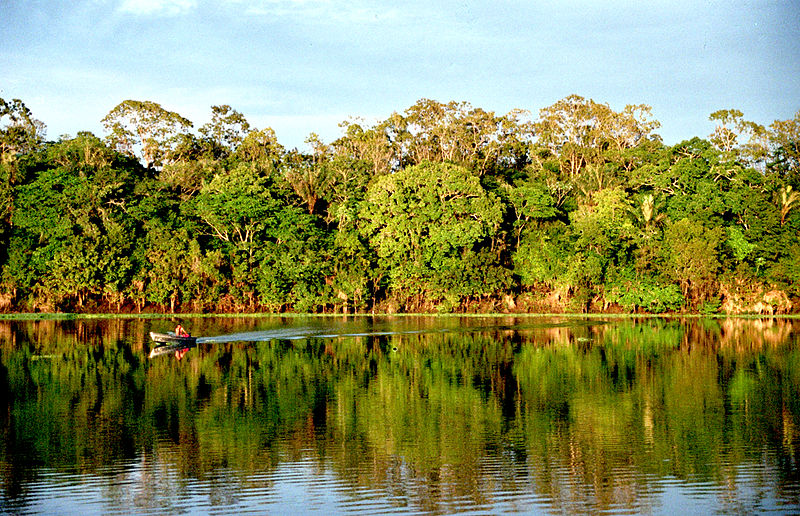 amazzonia-1