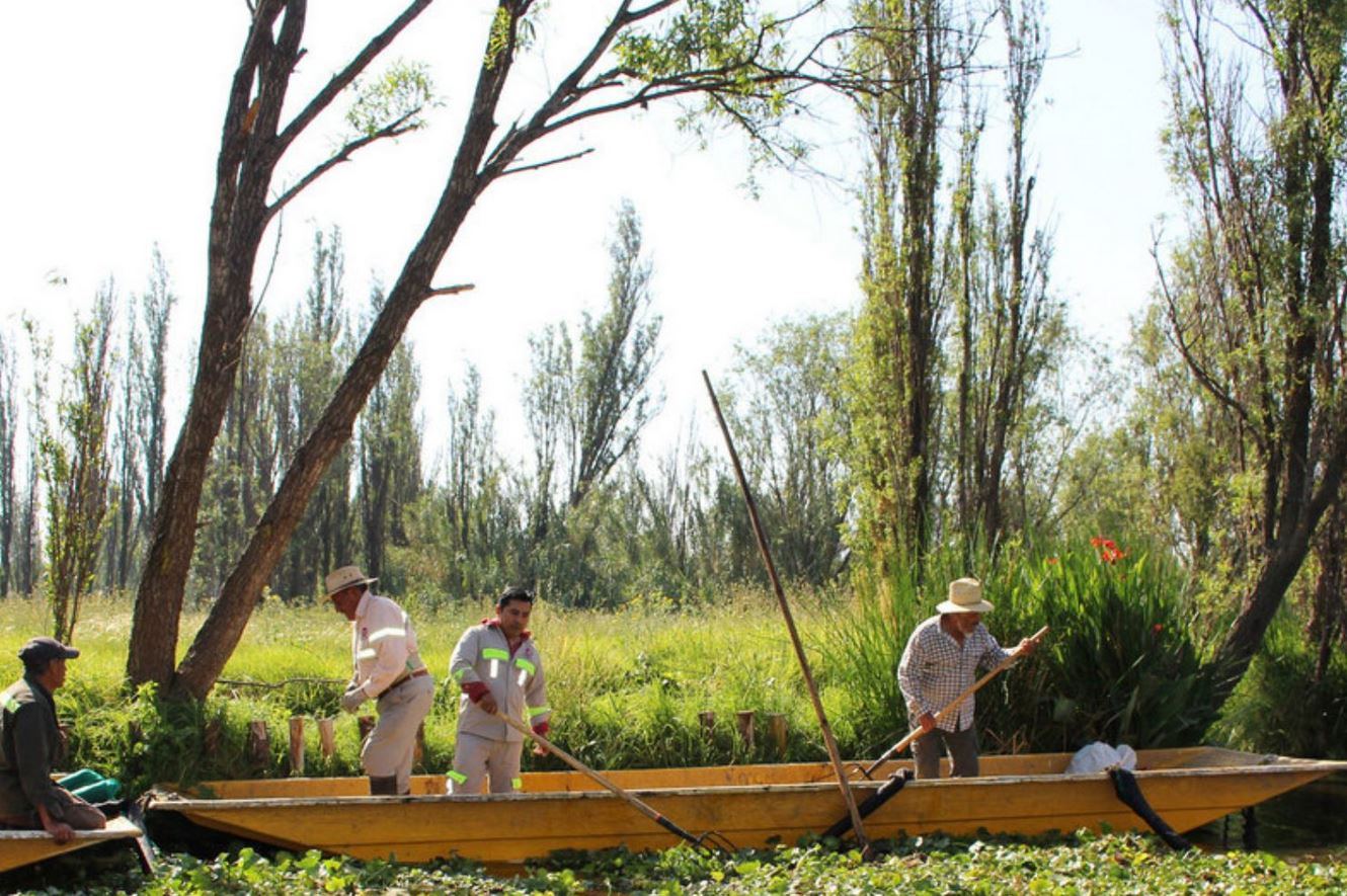 The Chinampas method of agriculture is based on the construction of floating beds in lakes.
