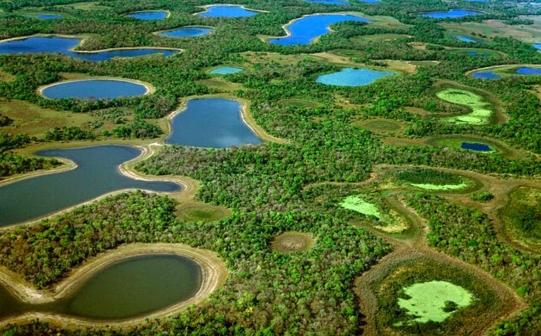 Pantanal, the world's largest wetland, is drying up, warns study. (Photo internet reproduction)
