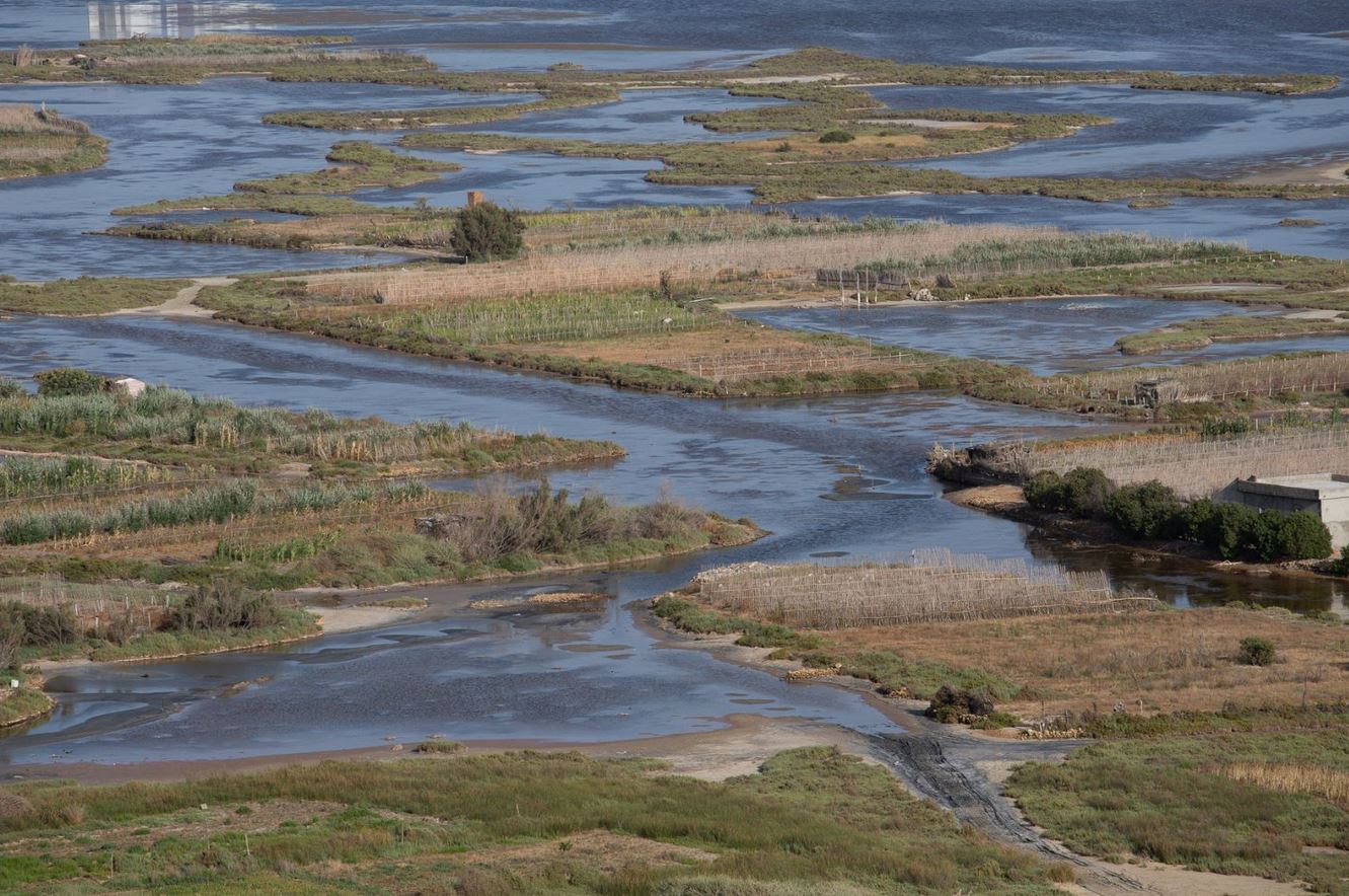 The farmers create an arable area in the ponds using organic material to enrich the sandy soil.