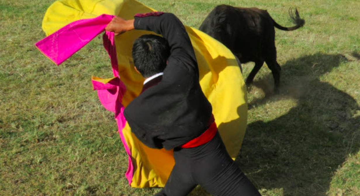 Bullfighting