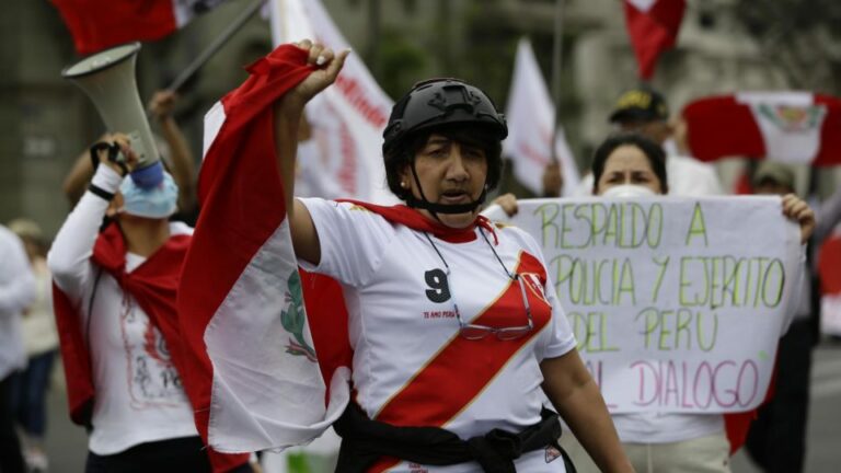 Demonstrators protest in favor of the forces of order in Peru