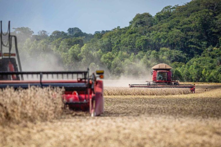 Brazil: Mato Grosso state starts harvesting the 2022/23 soybean crop
