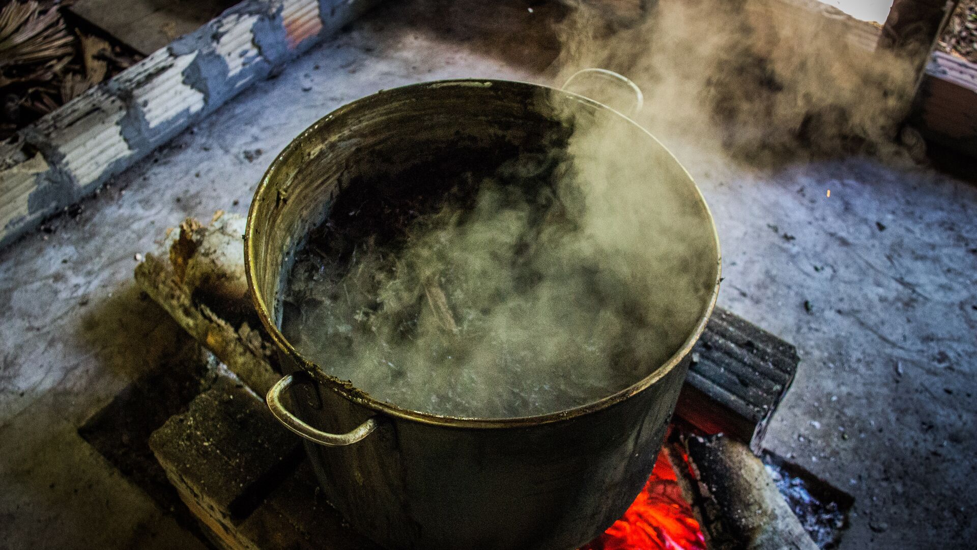 ayahuasca