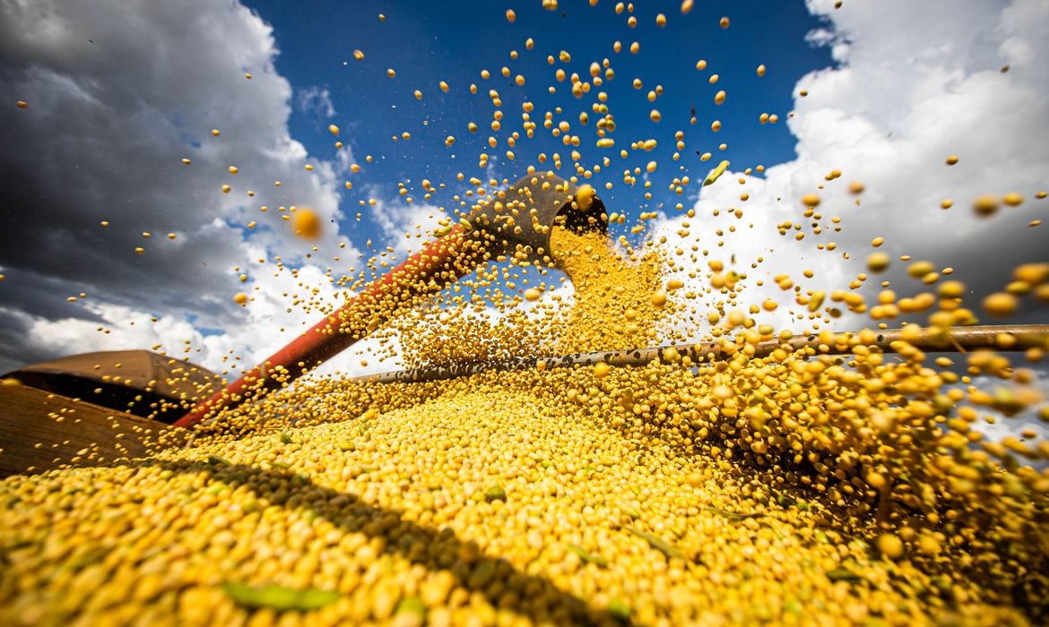 Brazil: IBGE projects record harvest of 293.6 million tonnes for 2023