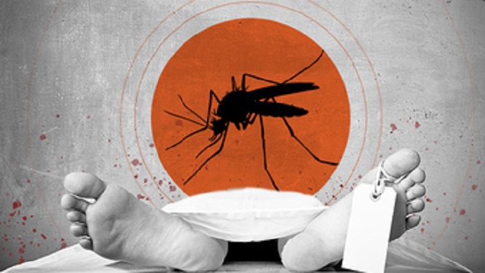 Dengue deaths