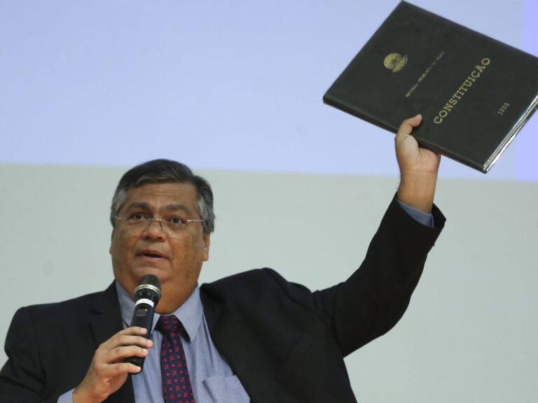 Dino-Constitution