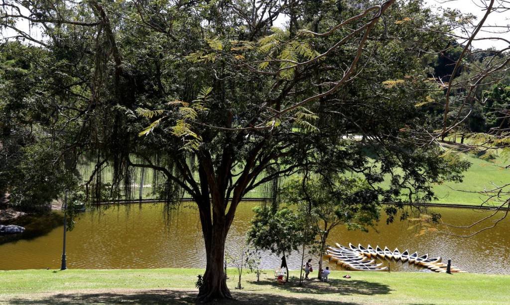 Rio park