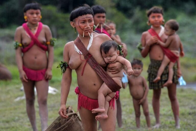 What does the Yanomami humanitarian crisis have to do with Venezuela?