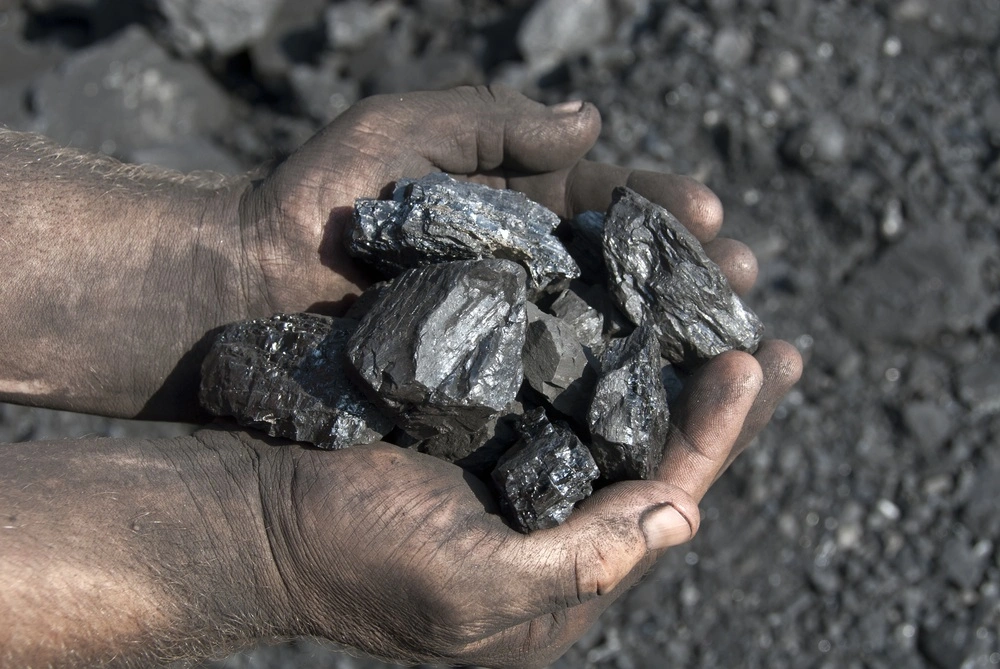 Coal. (Photo internet reproduction)