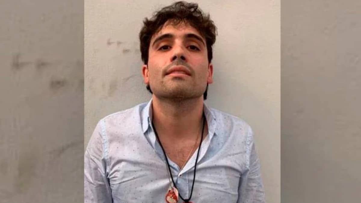 ovído guzmán