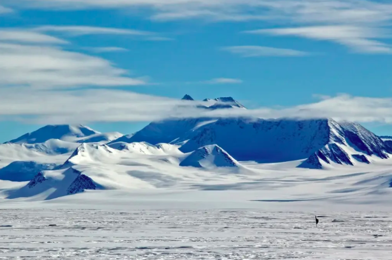 Antarctic sea ice reaches historic lows