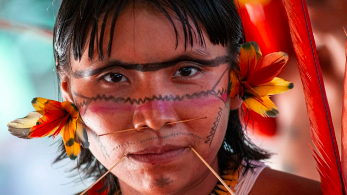 Brazilian indigenous