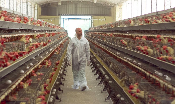 Poultry industry