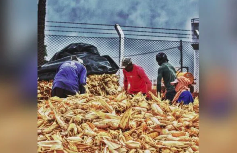 Slave labor
