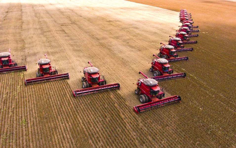 Soybean harvest