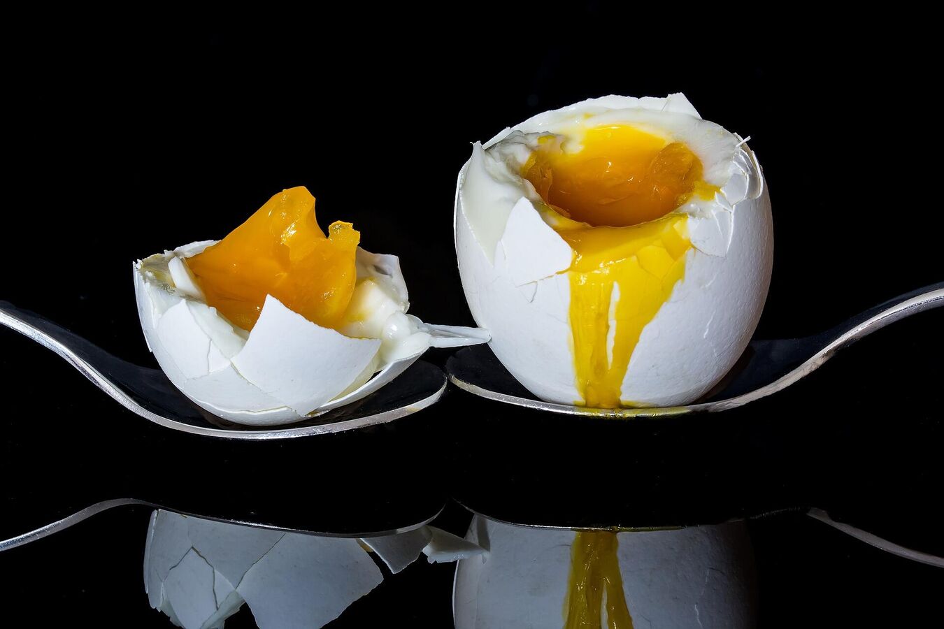 eggs