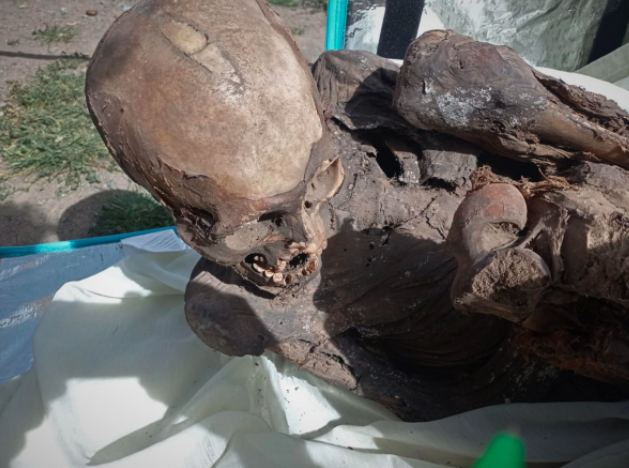 mummy found in Peru