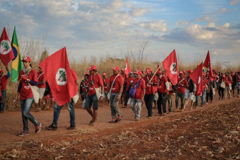 Brazil: Agriculture Confederation asks the Supreme Court for action against land invasions
