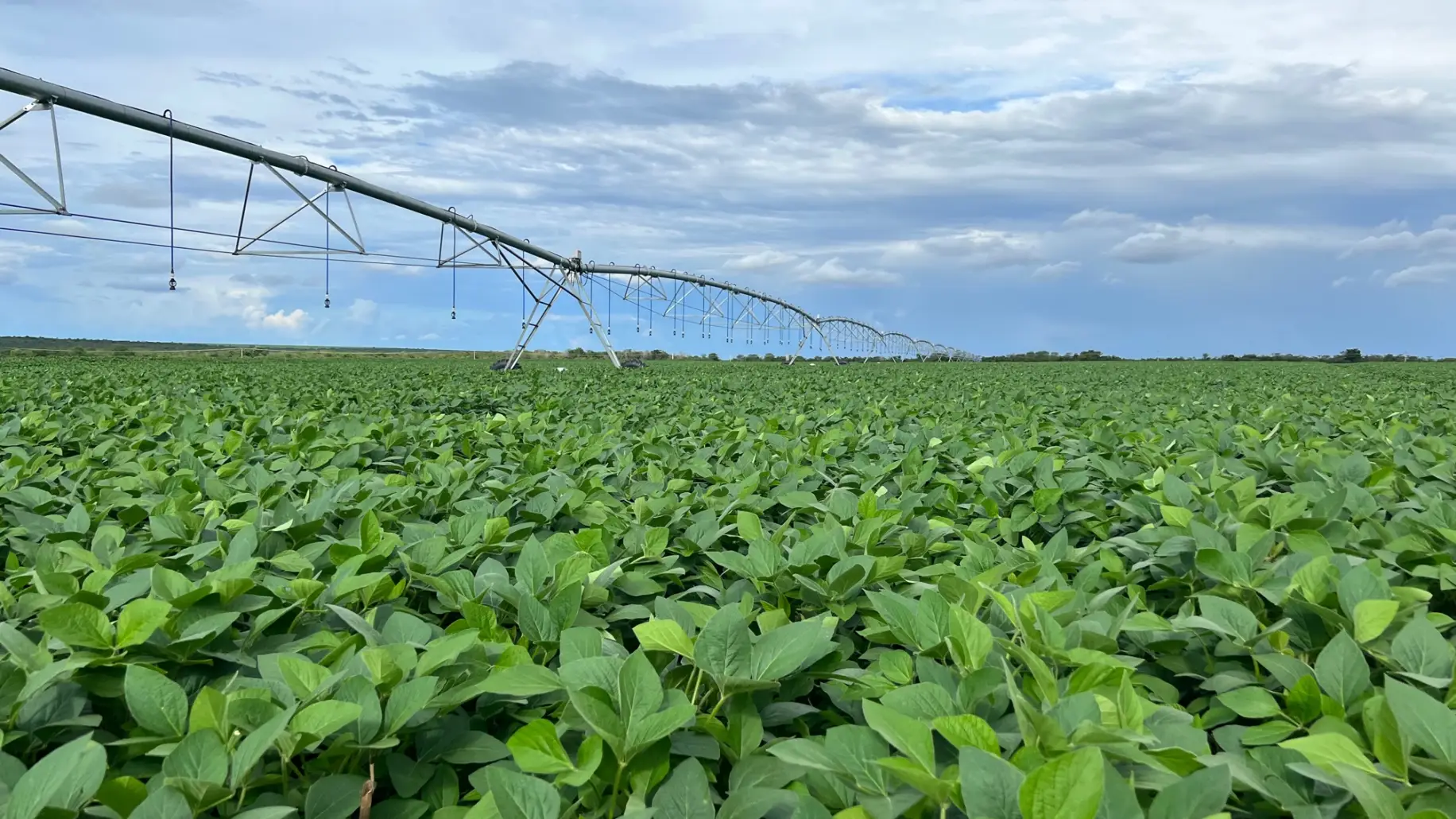fazenda-bahia-agro3