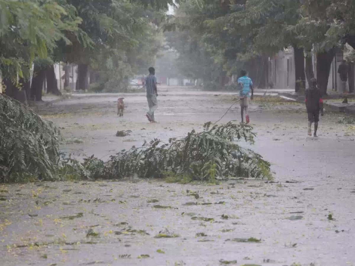 freddy hurricane mozambique