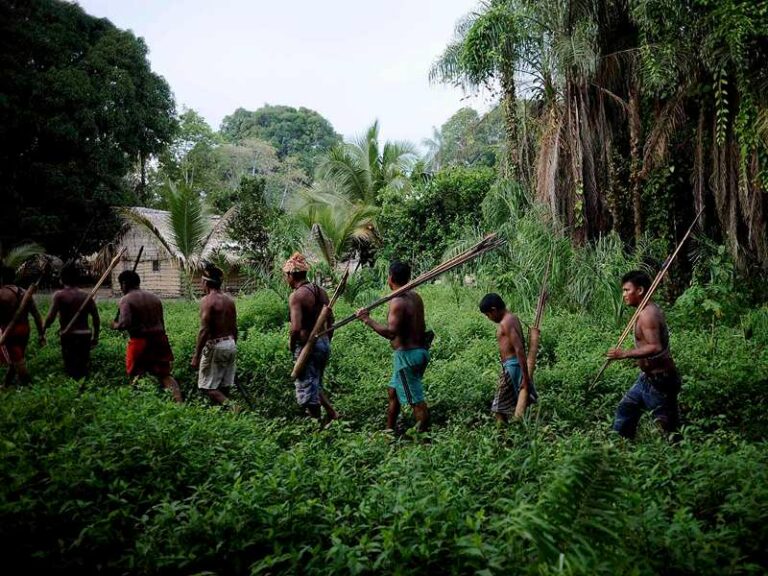 Brazilian President promises to speed up demarcation of indigenous lands