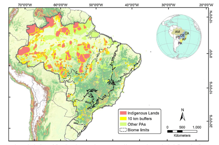 Brazil indigneous