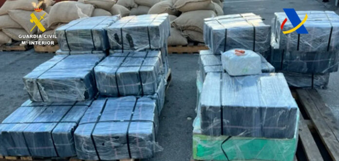 Ecuador's crime wave and its link to Albania | The Rio Times