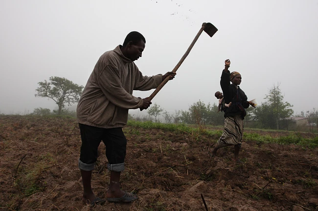 guinea rural work