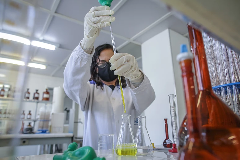 lab