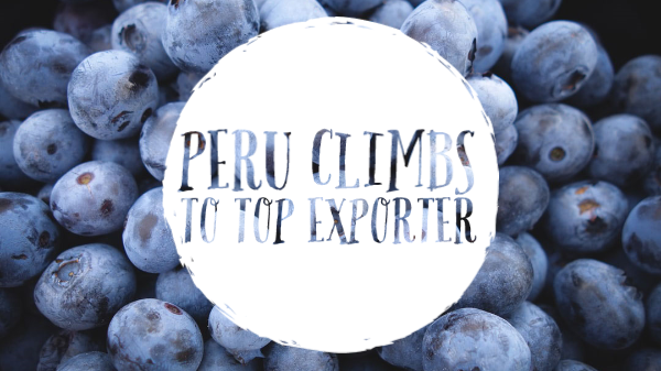 Peru remained the world’s leading exporter of blueberries in 2022