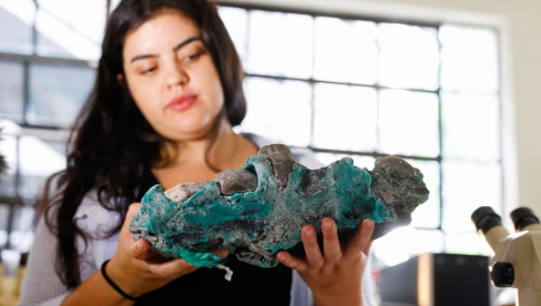 plastic rock