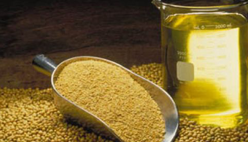 Brazil on Track for Soybean Meal Export Milestone. (Photo Internet reproduction)
