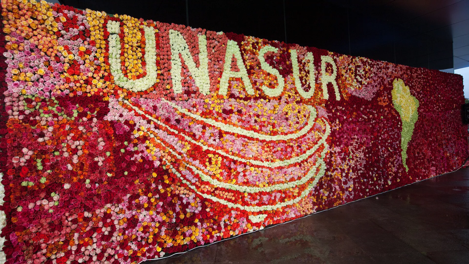 unasur