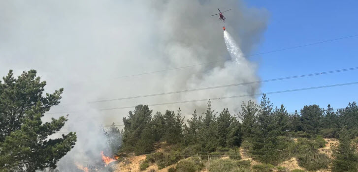 viña del mar wildfire