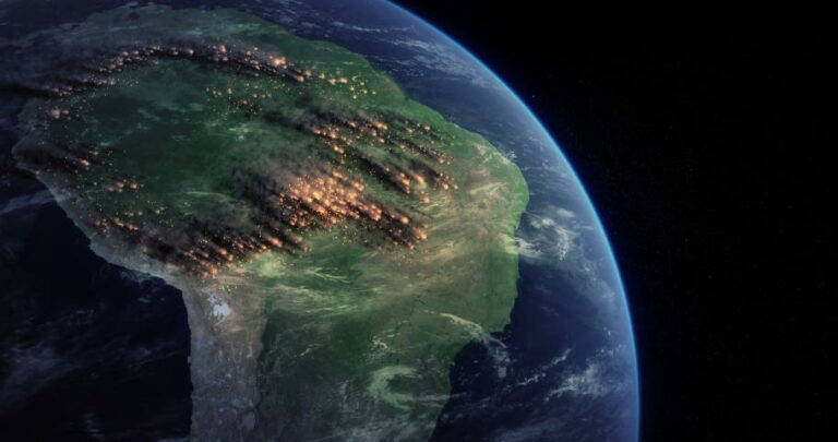 Amazon ‘savannization’ would cost Brazil US$184 billion, says World Bank