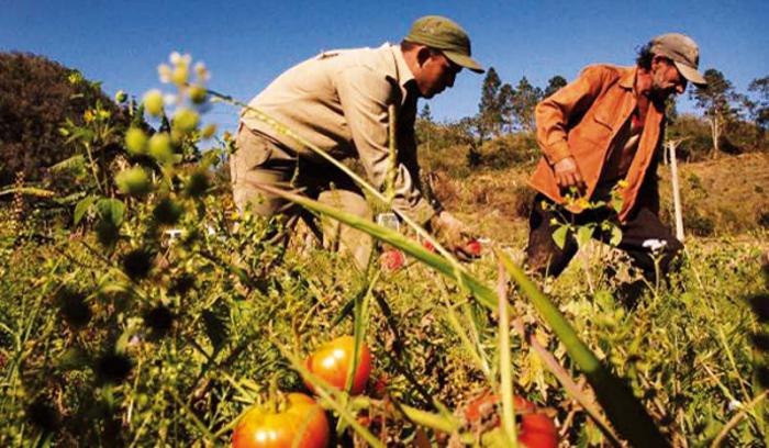 Chile launches National Sovereignty Strategy for Food Security