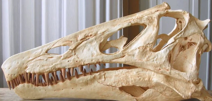 dinosaur