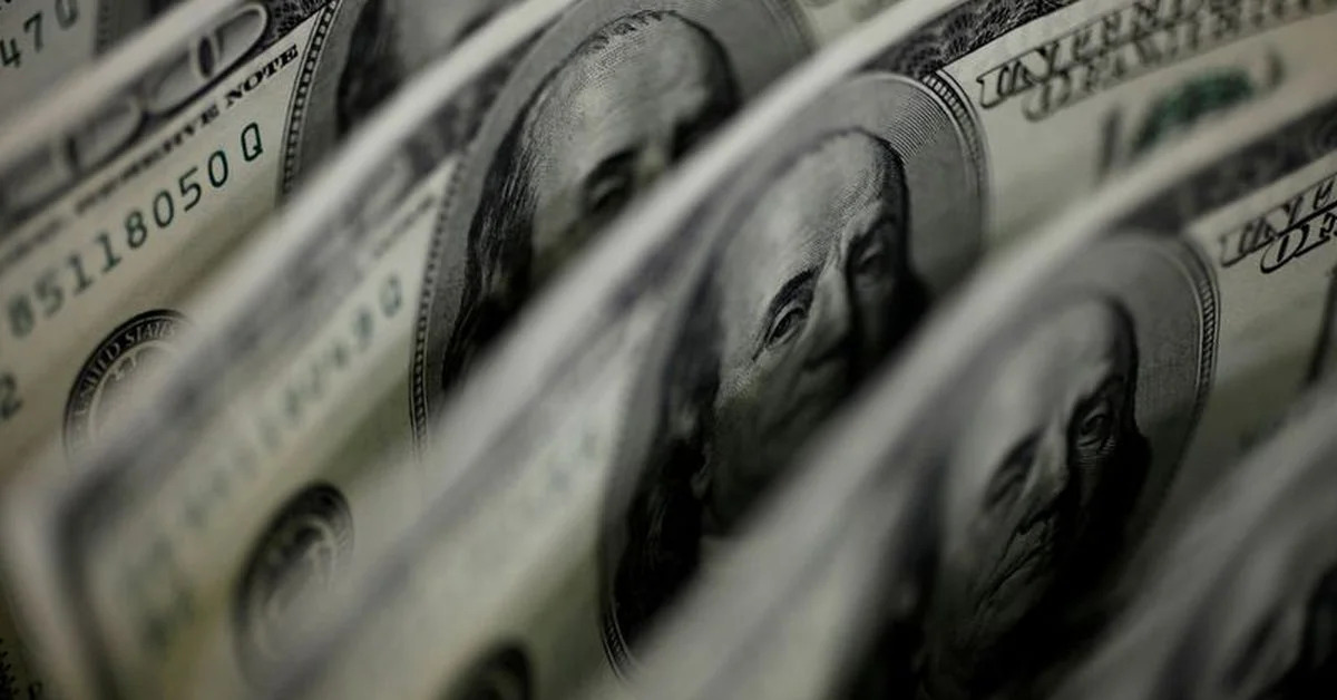 dollarization