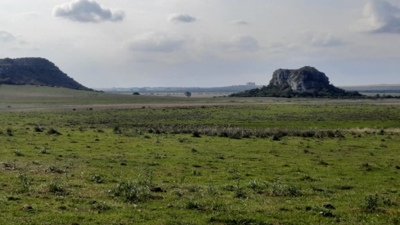 Plains of the Pampas. (Photo Internet reproduction)