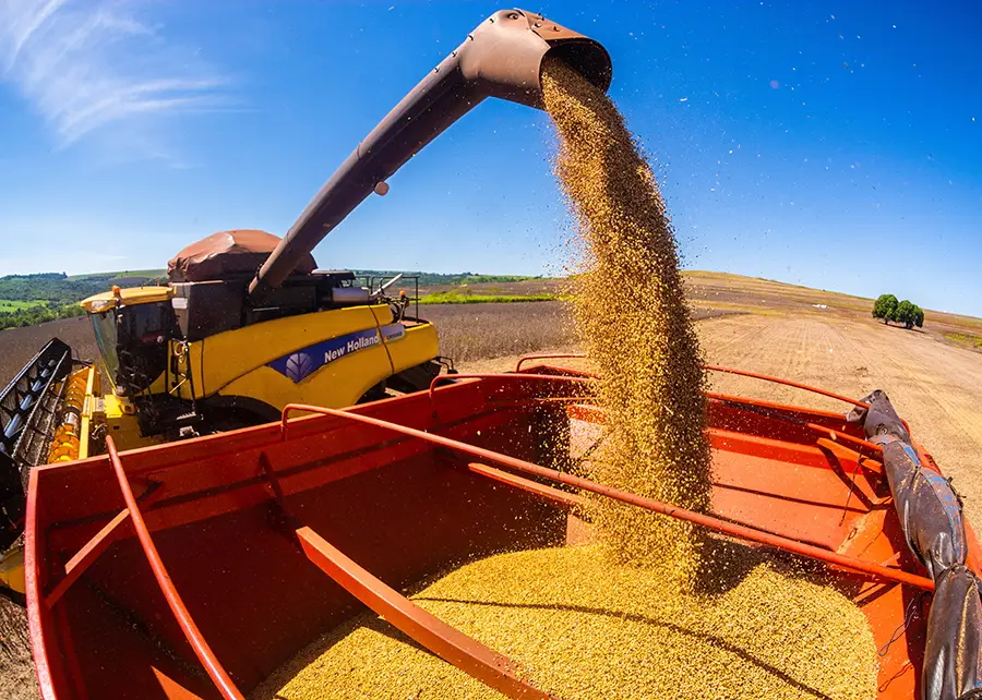  Paraguay's soybean exports surge by 107.2% at the end of May. (Photo Internet reproduction)