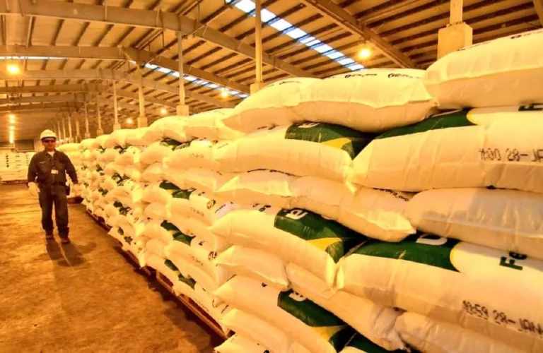 Bolivia exported 77% of its urea production as fertilizer to Brazil