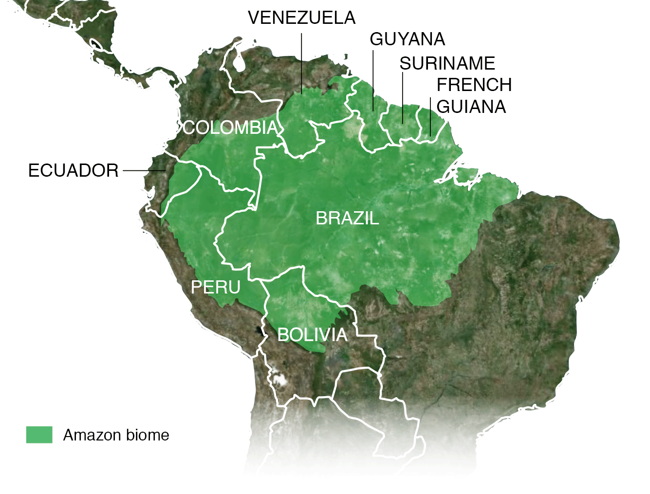 Amazon region's ministers take steps toward agreement to protect nature. (Photo Internet reproduction)