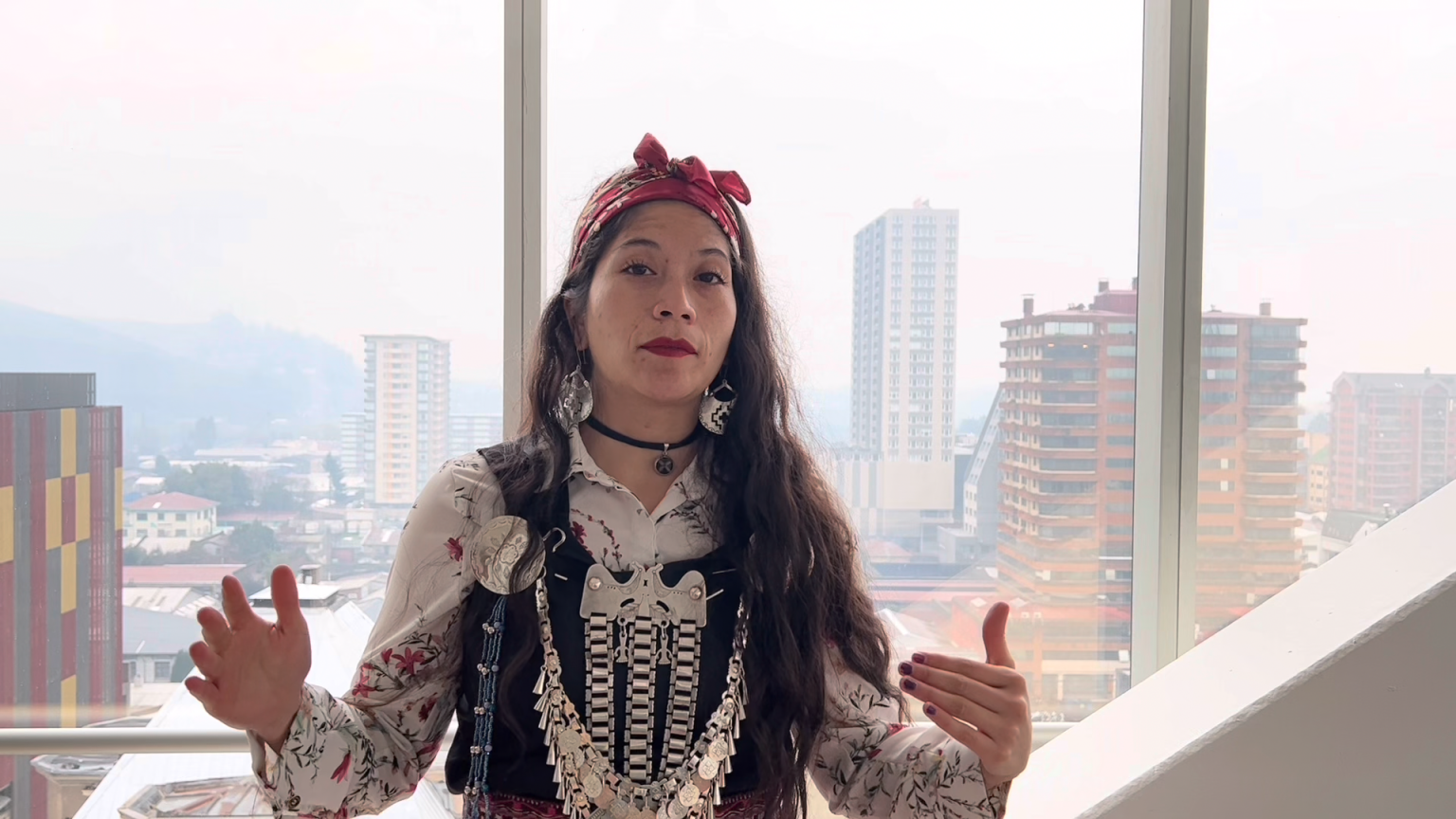 Ericka Ñanco, a Mapuche deputy