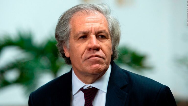 Bolivia to take OAS Secretary General Luis Almagro to court over 2019 crisis