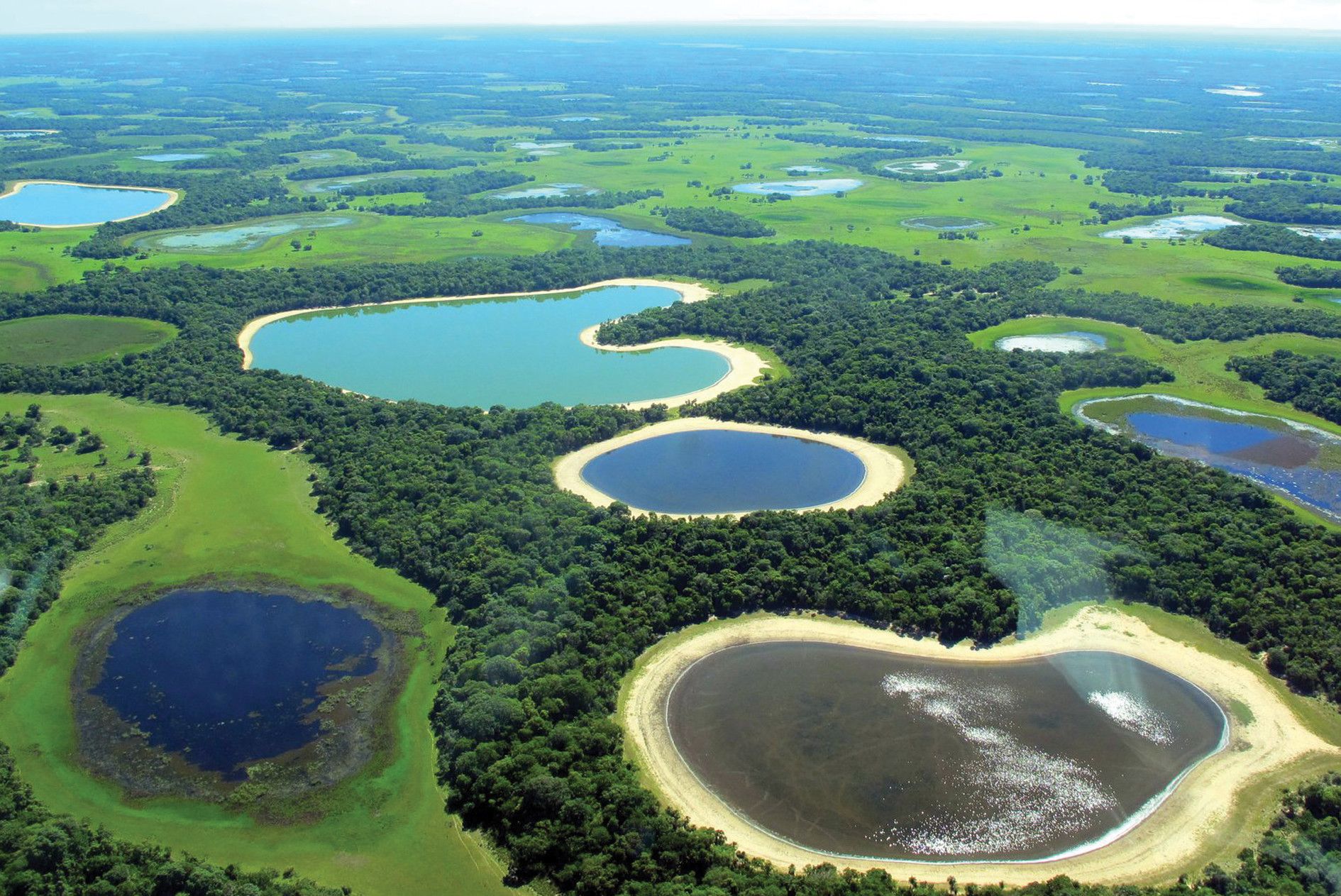 Pantanal. (Photo Internet reproduction)