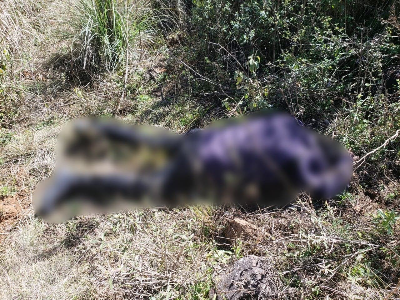 Two bodies found in northern Chile were buried alive. (Photo Internet reproduction)