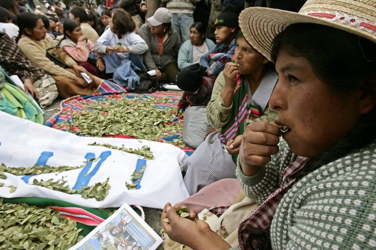 Bolivia presents proposal to declassify coca from drug status to ambassadors in Vienna