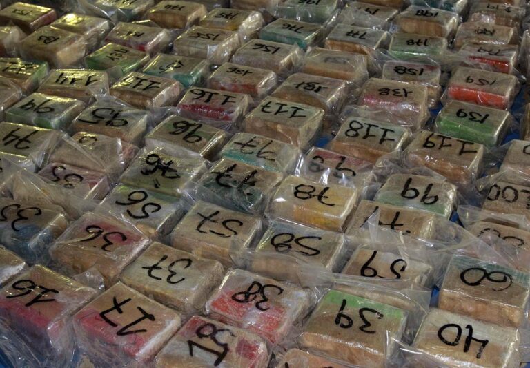 Paraguay achieves record drug seizures of 44,000 tons in five years